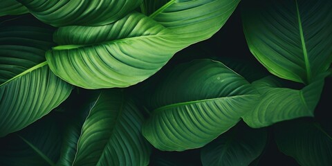 Detailed close-up of a vibrant green leafy plant, perfect for nature backgrounds - obrazy, fototapety, plakaty