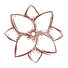 Flower sketch icon Sprimg season Vector