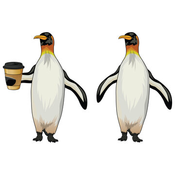 penguin on a white background vector