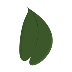 Tree leaf colored icon Vector