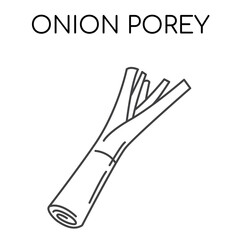 Onion porey vegetable line icons illustration