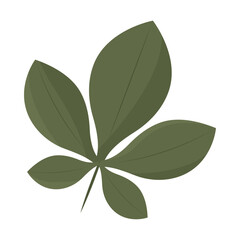 Tree leaf colored icon Vector