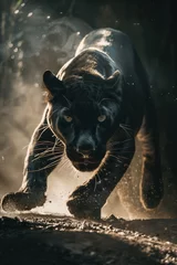 Tafelkleed a black panther hunting in the wild © StockUp