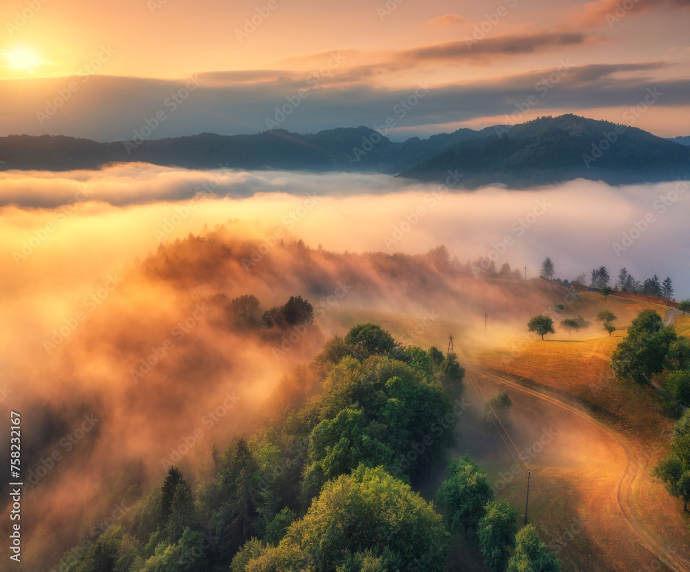 Wall mural aerial view of alpine meadows and mountains in low pink clouds at colorful sunrise
