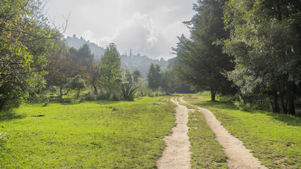 al aire libre