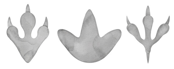 Dinosaur Footprints Set Watercolor clip art. Dino paw track illustration. Hand drawn on isolated background. Drawing of different animals step silhouette. Jurassic period fossil. For kids prints. © Alisles