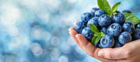 Fresh plump blueberries held in hand on blurred background with space for text placement - obrazy, fototapety, plakaty