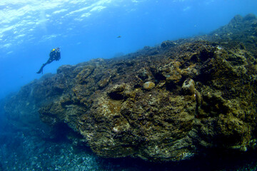 Buceadora nadando junto al arrecife en Tenerife, Canarias