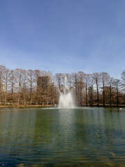 Fountain in the park on a winter day with bare trees in the background