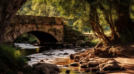 Rustic bridge and riverbank in nature