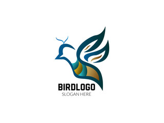 Obraz premium abstract Colorful bird logo with wings logo design