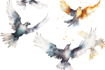 bird background Abstract white watercolor flying isolated set texture