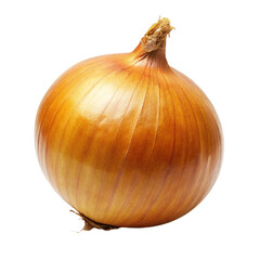 A fresh white onion isolated on Transparent background.