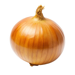 A fresh white onion isolated on Transparent background.