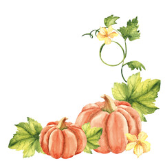 Pumpkin plant with leaves and flowers. Vegetable composition. Hand drawn botanical watercolor...