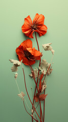 Dried poppy flowers on green background. Top view. Flat lay.