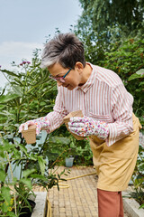 good looking jolly mature woman with glasses and gloves using gardening equipment on her flowers