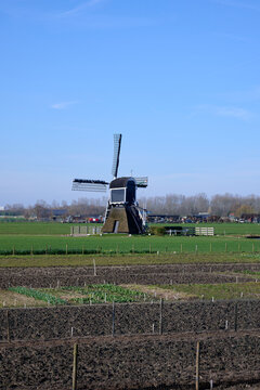 Hoogewegse Mill in Noordwijk in the sun and blue sky