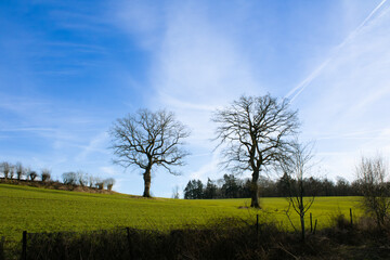 Nature en beaut&eacute;