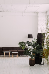 The image features a couple of plants in a room 6254.