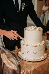 The image shows a person cutting a cake at a wedding or celebration 6285.