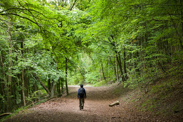 Asian Indian woman hiking alone in forest, Buckinghamshire, UK
