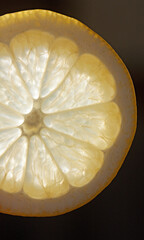 lemon slice cross-section, backlit, with black background