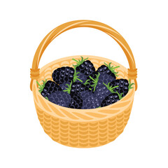 Fototapeta na wymiar Basket with blackberry. Cartoon flat illustration. Vector food icon.