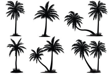 Palm Tree Vector Silhouette vector, Icons