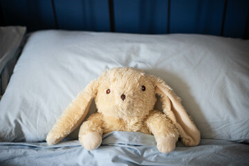Bunny plush toy, laying under covers in parents' bed with blue blankets and soft day light. Central view.