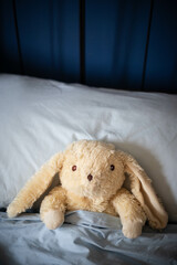 Bunny plush toy, laying under covers in parents' bed with blue blankets and soft day light. Central view, high copy space, vertical shot.
