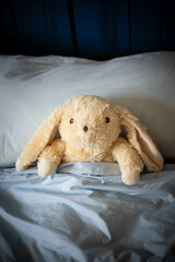 White bunny plush toy laying under covers in parents bed with blue blankets and soft day light. central view.