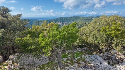 The peak of V. Gradac in Mljet National Park. Vegetation on top of the mountain overlooking the sea.