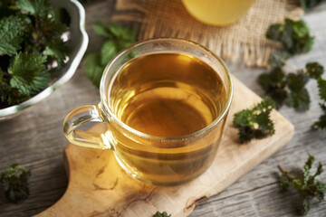 Stinging nettle tea in a glass cup