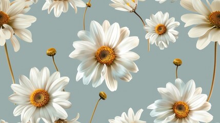 Fototapeta premium Summer Floral pattern with chamomile flower over blue background.