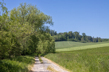 Fototapeta na wymiar Road between fields and forests, Brnicko, Czechia