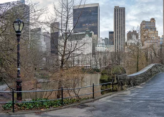 Photo sur Plexiglas Pont de Gapstow Gapstow Bridge in Central Park,after rain