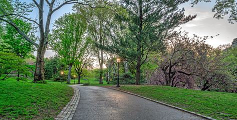 Central Park in spring early morning