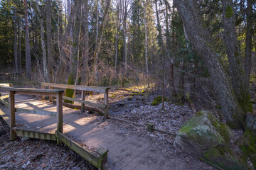 Board walk wood path over a small stream in the shadow of the natural preserve Judar skogen a sunny...