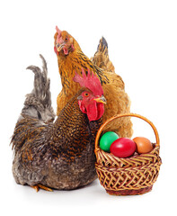 Two chickens and a basket of Easter eggs. - 758285534