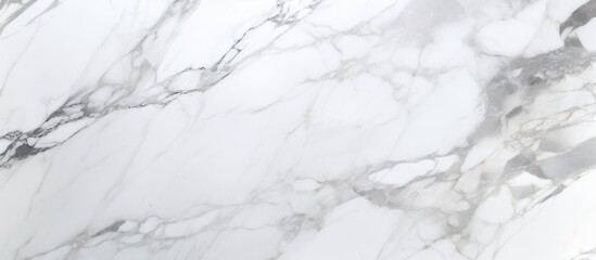 Obraz premium White marble background with detailed pattern