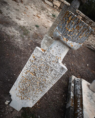 Mosquee Tekké Hala Sultan Larnaca