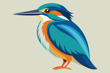 Beautiful kingfisher vector illustration artwork