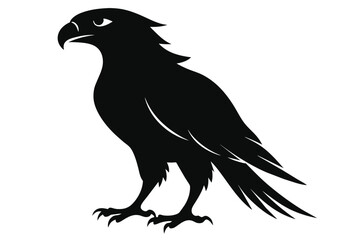 Hunter eagle vector illustration artwork