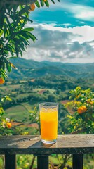 orange juice on the beach