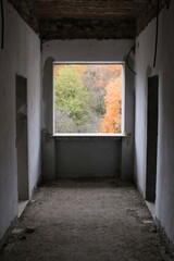Autumn's Palette Seen Through the Window of an Abandoned Room