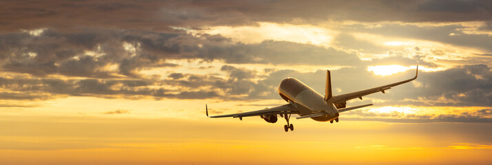 passenger airplane is flying - obrazy, fototapety, plakaty