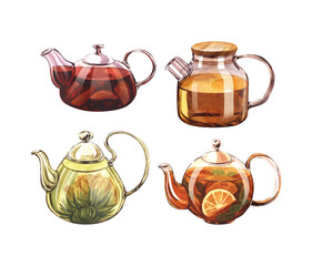 Set glass teapot with infuser and flowering tea, with lemon and citrus. Watercolor hand-drawn illustration isolated on white background. Perfect for recipe lists with drinks, brochures for cafe.