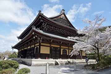 Fototapeta premium 春の南禅寺 法堂 京都市左京区
