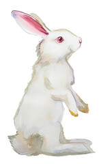 White rabbit illustartion isolated on a white background. Watercolor white bunny painting.